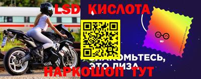 мескалин Камышлов