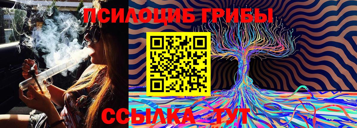 Галлюциногенные грибы MAGIC MUSHROOMS Чехов